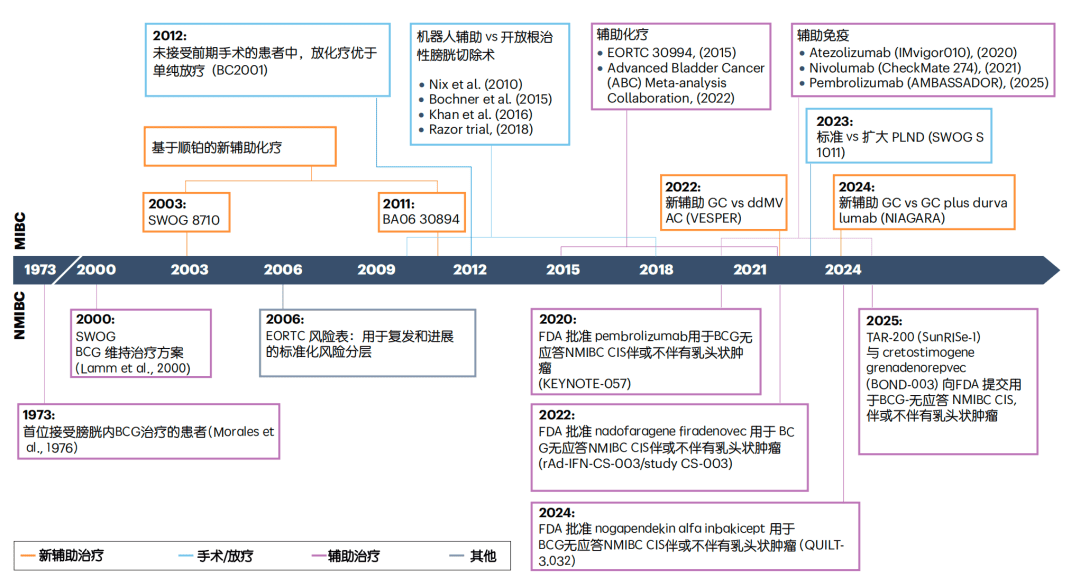 截止至2025年局限性膀胱癌治疗进展